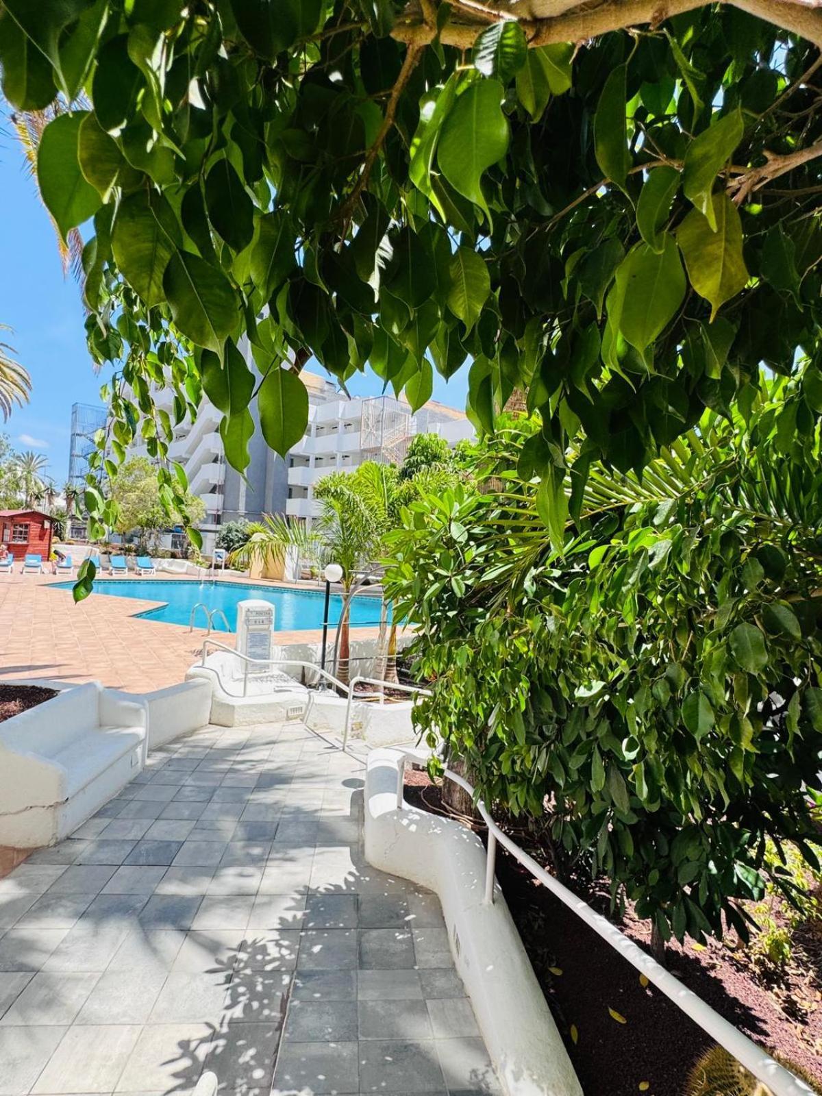 Paraiso Ponderosa, Lovely Estudio Americas Playa Fanabe